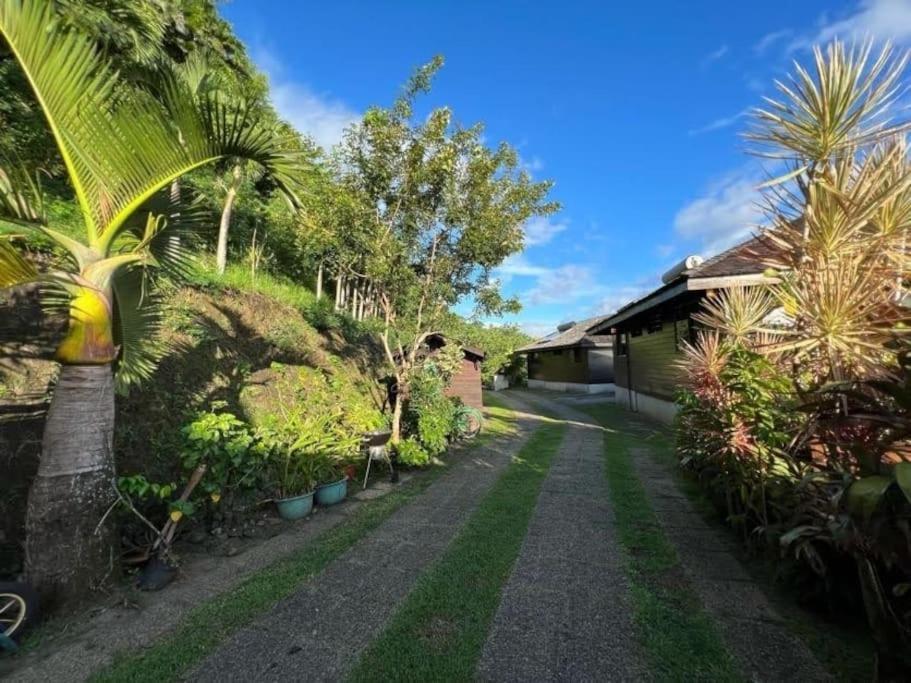 Tehuarupe Surf Studios Haapiti Exterior foto